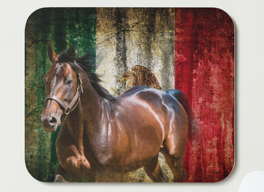 Mexican Mousepads